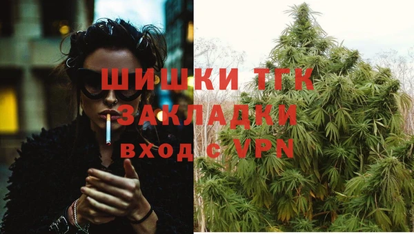тгк Алексин