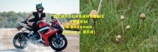 ГАЛЛЮЦИНОГЕННЫЕ ГРИБЫ Алексеевка