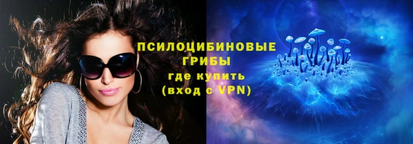 тгк Алексин