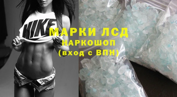 ГАЛЛЮЦИНОГЕННЫЕ ГРИБЫ Алексеевка
